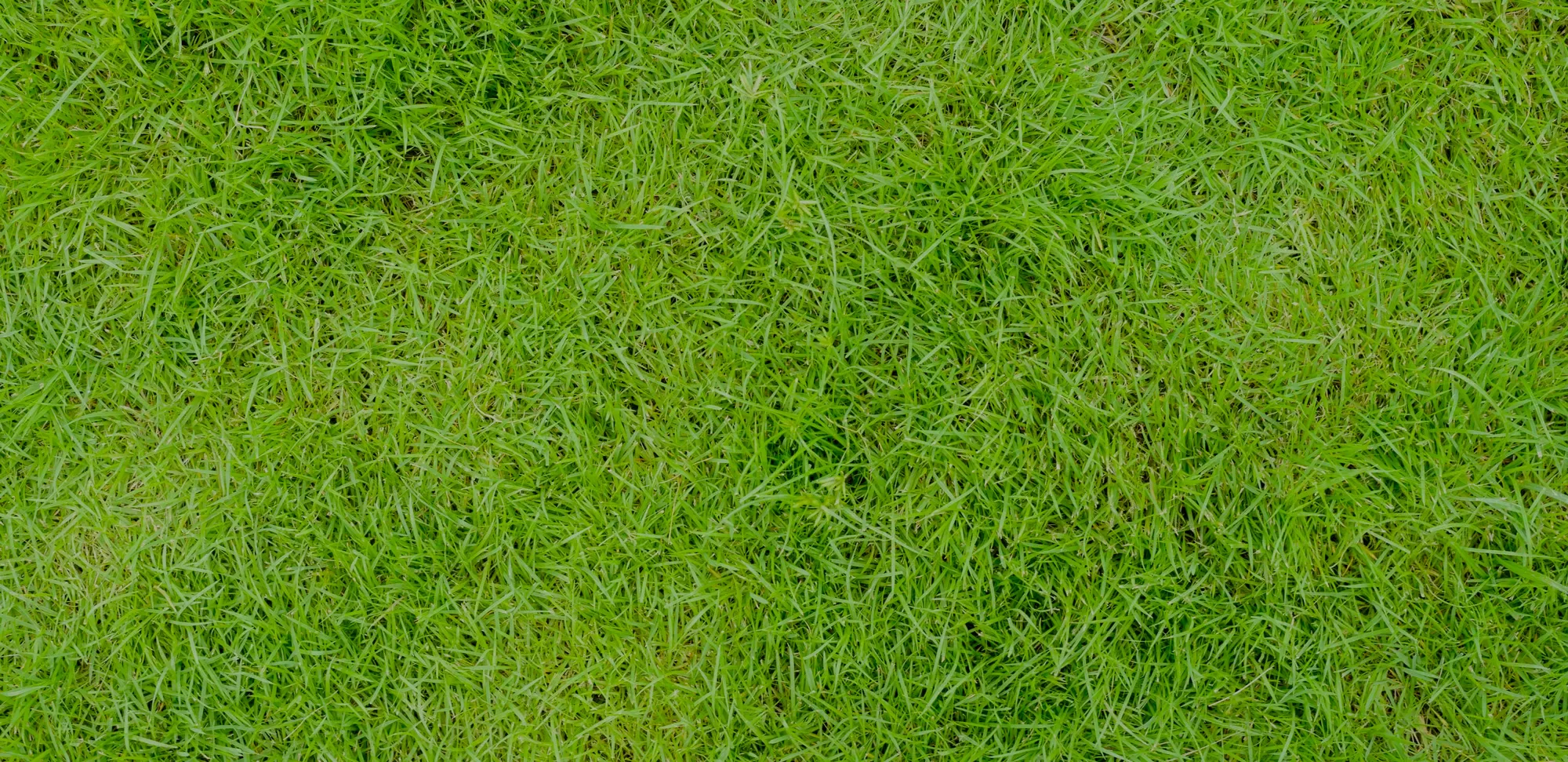 Volanti per veicoli prodotti in maniera ecosostenibile